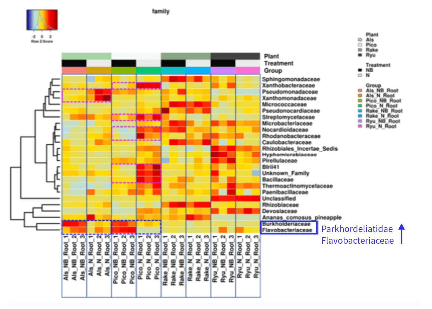 Heatmap of root microbiota