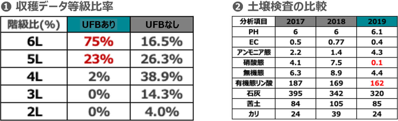 収穫データ等級比率 6L:UFBなし16.5%→UFBあり75%、5L:UFBなし26.3%→UFBあり23%、土壌検査の比較もUFB導入後硝酸態と有機態リン酸が減少