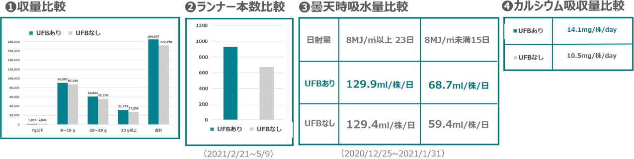 収量比較グラフ・ランナー本数比較グラフ・曇天時吸水量比較グラフ・カルシウム吸収量比較グラフ。いずれにおいてもUFBありの方がUFBなしより好成績となった