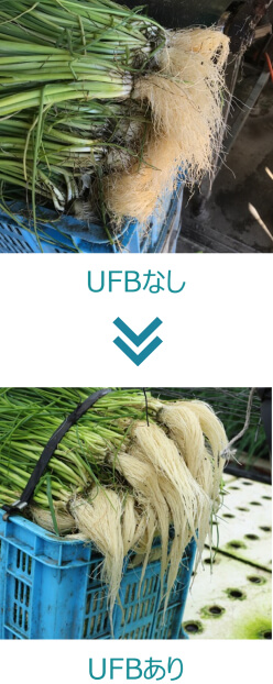 UFBなし→UFBあり