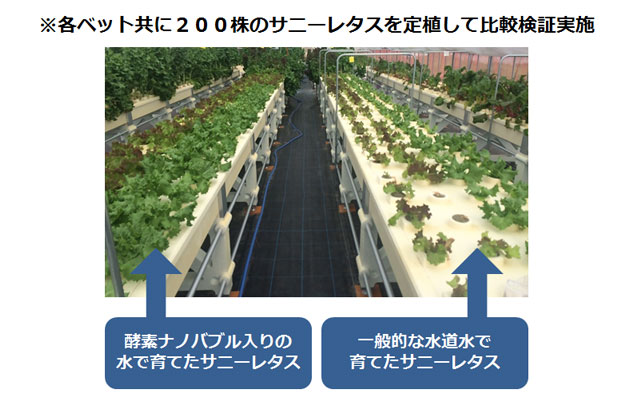 「水で日本の農業が変わる」ウルトラファインバブルウォーターe-sodachi（いいそだち）のご紹介│画像2