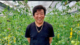 【Kumamoto】Nanobubbles make a big difference in rooting! Cultivation of high value-added tomatoes