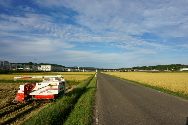 農地を借りたり貸したり。農地バンク制度のメリットとデメリット