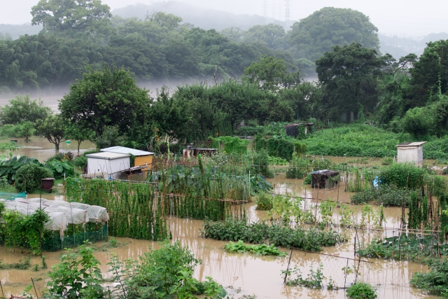 農家の悩みごと　病害虫・土地・被災支援についてまとめ画像3