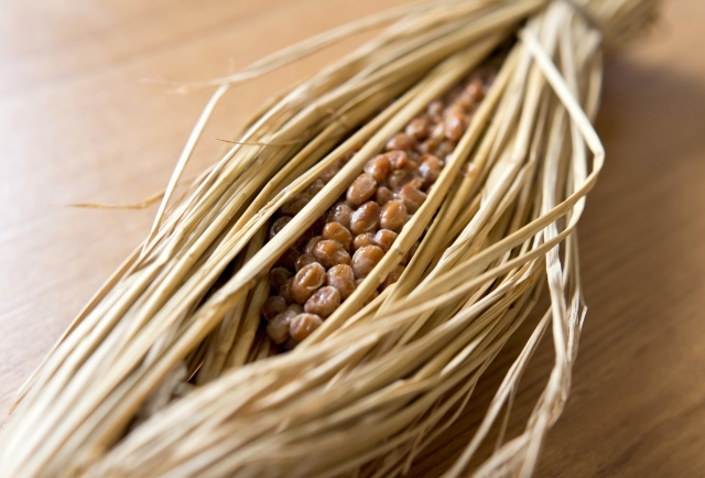 身近な食品微生物・納豆菌の農業利用。納豆菌が与える土壌への効果とは画像1