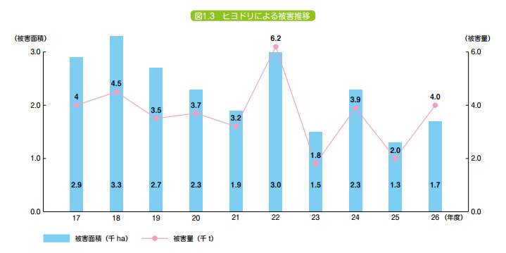 空からやって来る害獣 ヒヨドリとムクドリの農作物被害を防ぐ主な対策 農業メディア Think And Grow Ricci