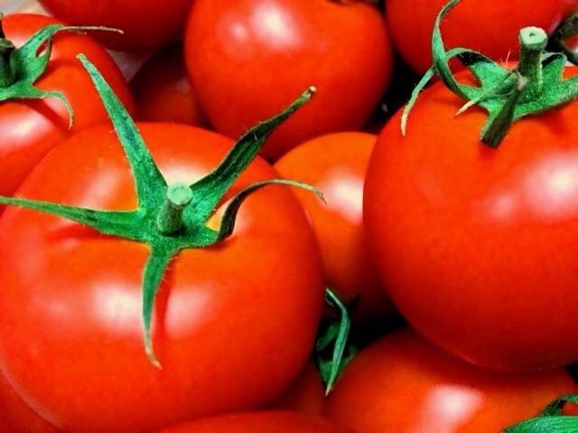 受粉不要なトマトって何？！農作業が楽になる新しいトマト│画像１