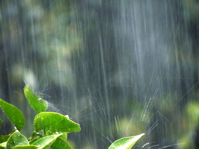 集中豪雨や猛暑日など、異常気象に対する農業対策とは