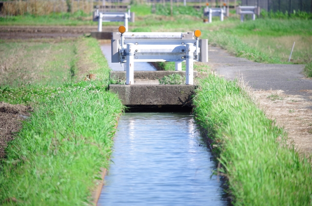 水質汚染の指標について学ぶ。指標となる項目が示すものとは│画像3