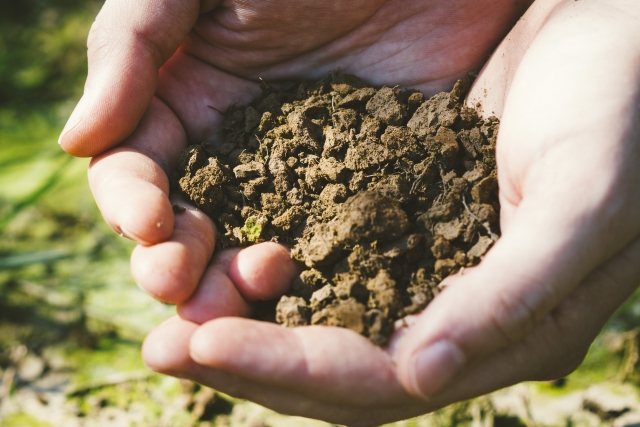 作物の生育障害、土壌に着目した原因と対策