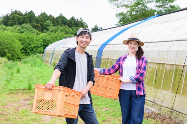 農業への転職が増えている？！若者が農業を選ぶ理由│画像1