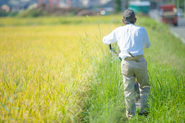 農家に転職するなら農業法人と自営農家どっちがいい？│画像3