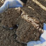 土壌の健康管理を手軽に！土壌診断キットのススメ