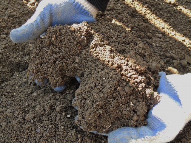 土壌の健康管理を手軽に！土壌診断キットのススメ│画像１
