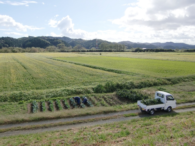 万一に備えて加入しておきたい自営農業者の労災保険特別加入制度とは？｜画像２