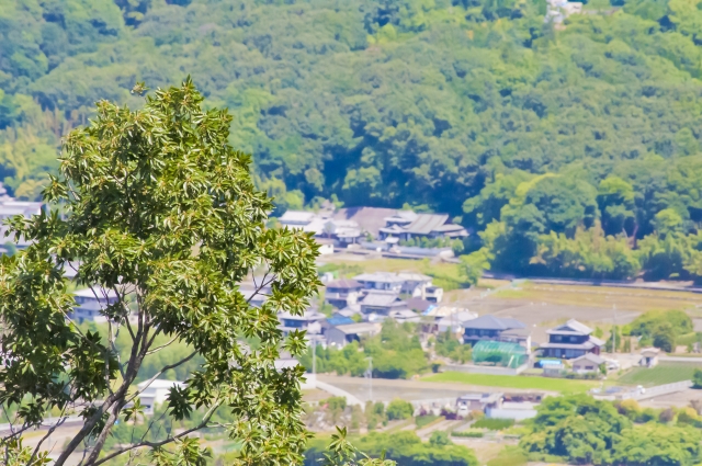 新規就農者を増やすカギとなるか。定住促進ICTで住みやすい農村へ｜画像１