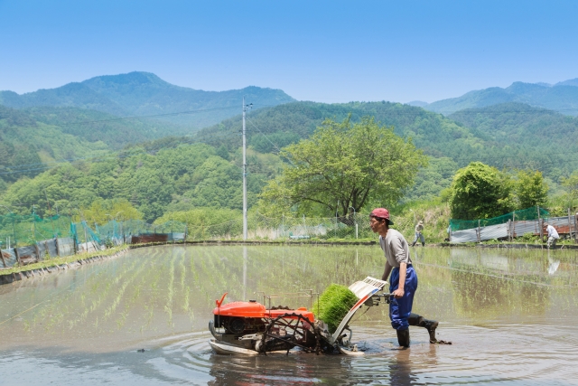 【お金持ち農家が多い市区町村ランキング｜画像４