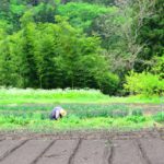 人手不足が危惧される、農業と物流の関係について