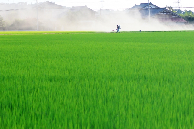 生育障害を及ぼす除草剤の成分クロピラリドについて｜画像１