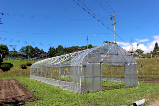 農作物の高温障害、なりやすい野菜と予防策とは。異常気象対策を今から！｜画像３