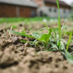 農業における土壌消毒とは？
