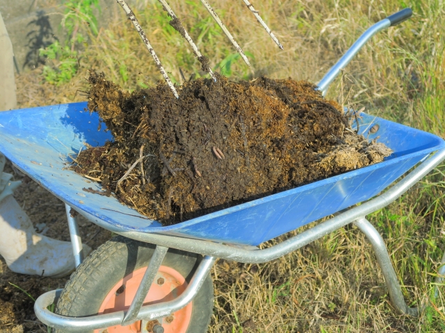 土壌病害の防除に効果的な「土壌消毒」。注目されている低コストな土壌消毒法を紹介｜画像１