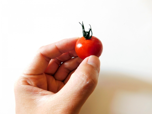人気の高い「高糖度トマト」の栽培技術｜画像２