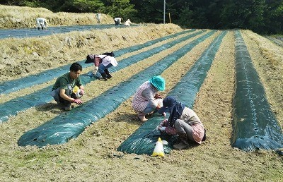 地域に根差した地域活性事業を目指して GM7 丸森町で『農業生産事業』を9月から開始　 ヒマワリ・リコリス・キャッサバを栽培