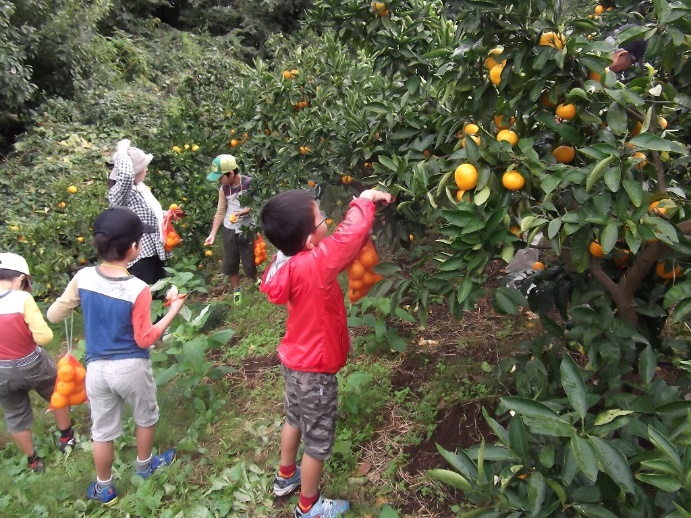 小田急まなたび×神奈川県 共同企画 第４弾※！「かながわ農業大発見！歩いて未病を改善しよう！」を開催