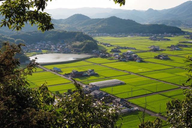 「有機農業ネット」とは。有機農業×地域活性化｜画像１