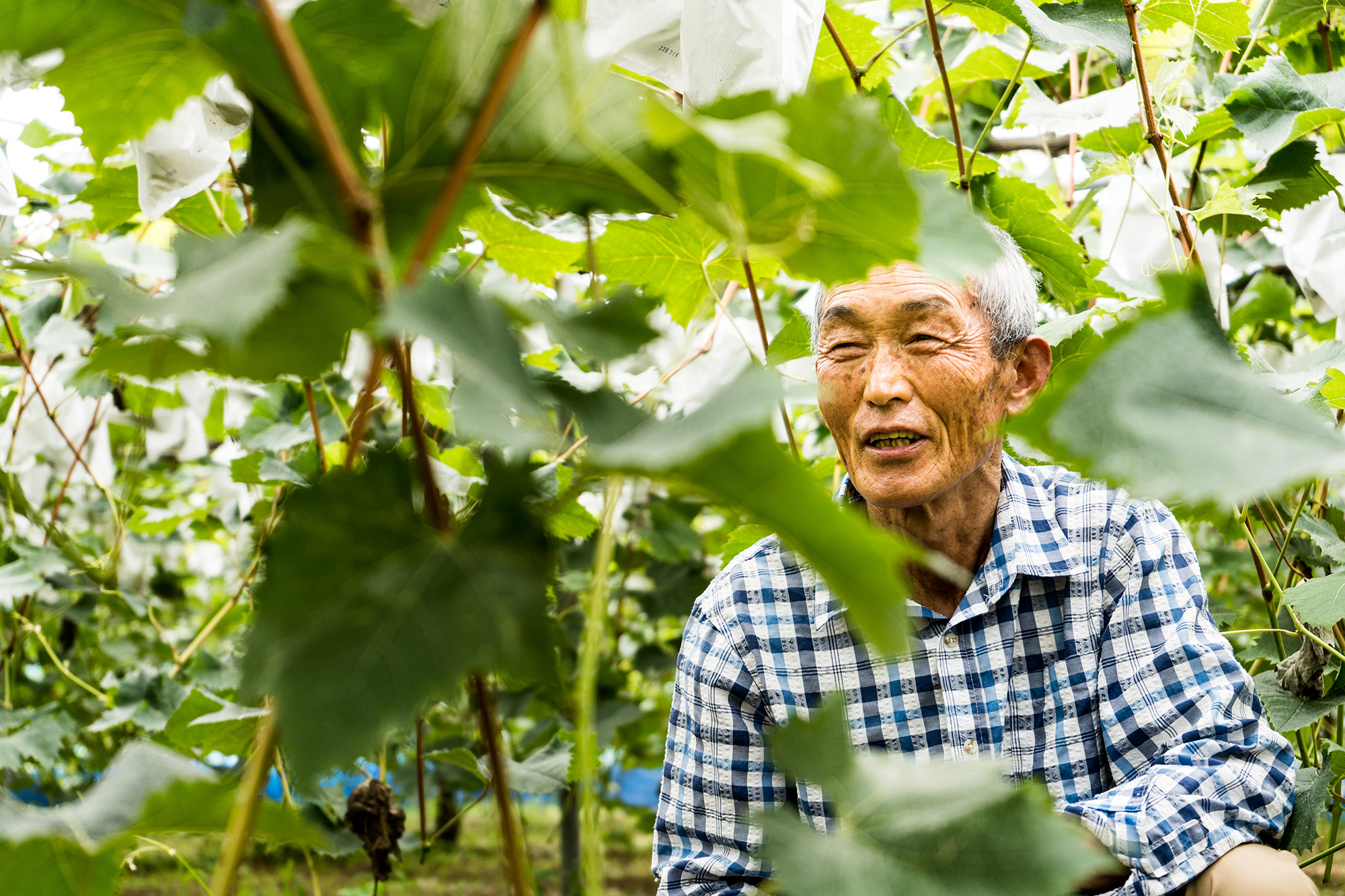 農業の担い手不足をシェアリングエコノミーで解決。宮崎県の地域商社がガイアックス「スタートアップスタジオ」発の農業人材マッチング事業と提携