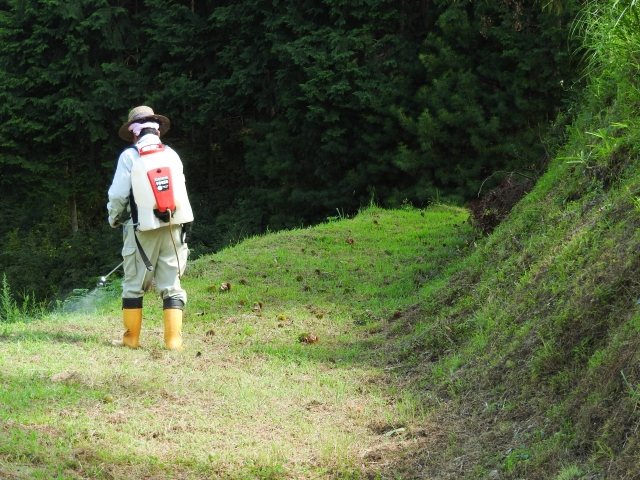 除草剤「ラウンドアップ」の損賠訴訟について知っていますか | 農業