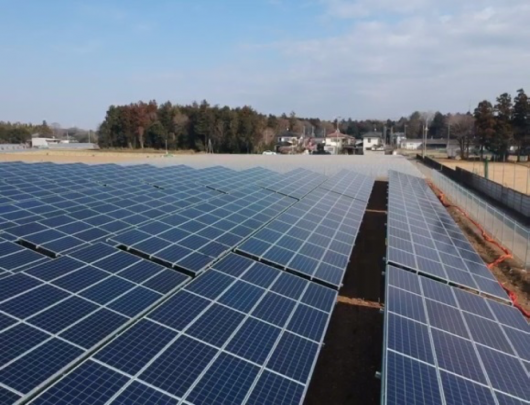 荒廃農地の再生とグリーンエネルギー事業を同時に行う「ソーラーシェリング」を実施