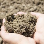 微生物は土壌改良の役に立つ【前編】微生物を活用するときのコツ
