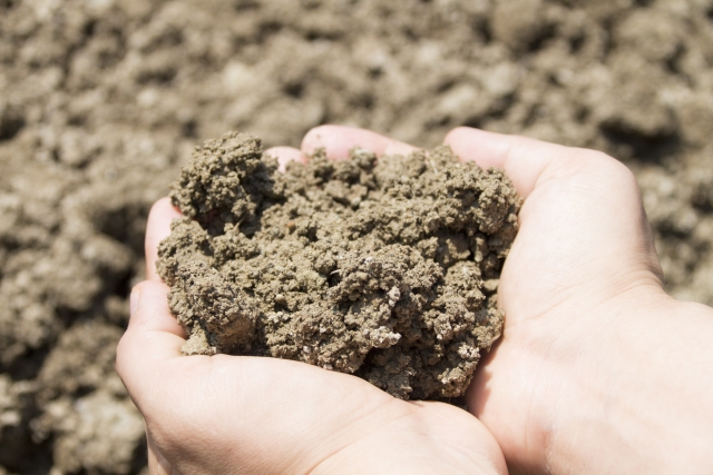 微生物は土壌改良の役に立つ【前編】微生物を活用するときのコツ｜画像１