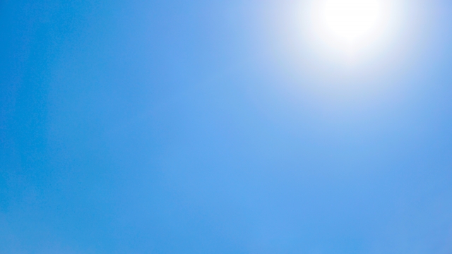 これからやってくる夏の酷暑を利用しよう！太陽熱土壌消毒のススメ｜画像１