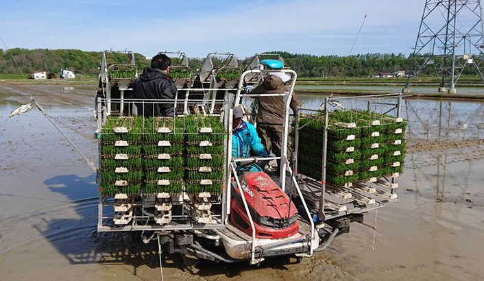 北海道の食を応援！ 「農業関連人材派遣サービス」 を開始！