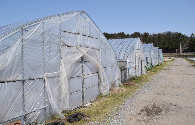 施設園芸の労力＆コスト削減に役立つ養液土耕栽培のメリットと留意点とは。｜画像１