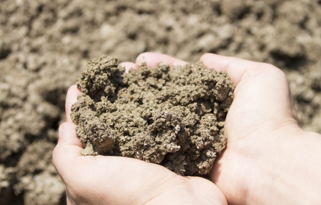 意外と知らない農業の立役者・土壌微生物　〜「硝化菌」について〜｜画像１