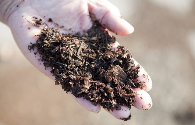 微生物資材を使用する際の注意点。微生物資材を使う前にやっておきたい現場試験について。｜画像１