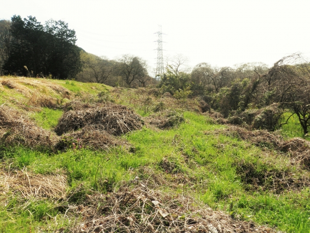 荒廃農地の活用事例。再エネ促進を目的とした荒廃農地の転用規制緩和についても｜画像１