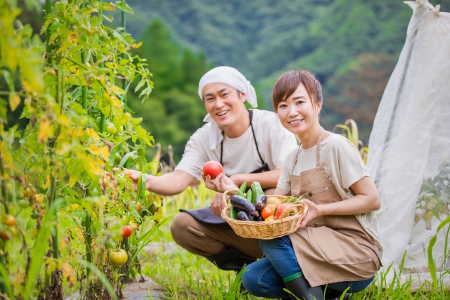 新規就農者育成研修ではどのようなことを学ぶことができるのか｜画像１