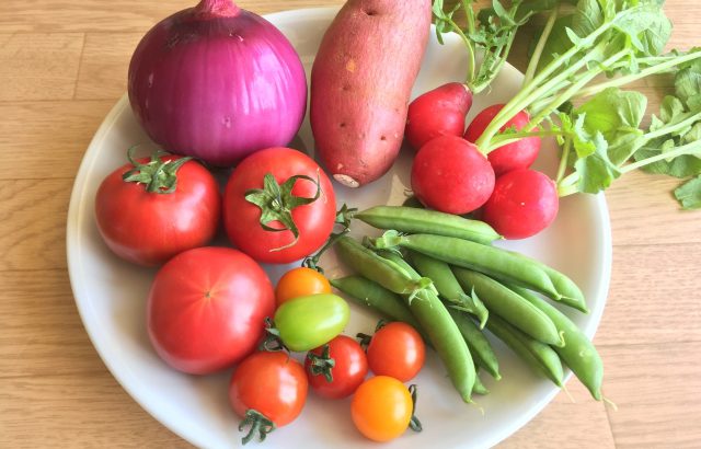 タキイ種苗の「野菜」に関する調査から、コロナ禍で変わった消費者の意識を学ぼう