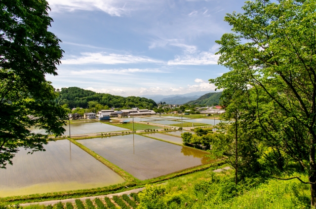 農業と環境の関係。農業と地球環境問題について考える。農業が環境に与える影響とは。｜画像４