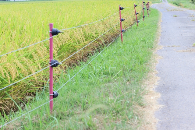 設置するだけ！おすすめ鳥獣害対策アイテムまとめ｜画像１