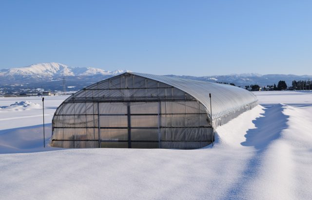 大雪が想定されるラニーニャ現象とは。天候情報を早期に得るために便利なサイトを紹介。