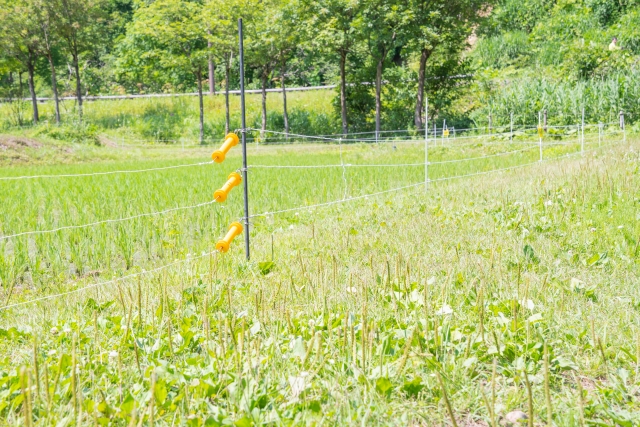 害獣対策でおなじみ、電気柵の仕組みと電気柵の効果的な設置方法について｜画像１