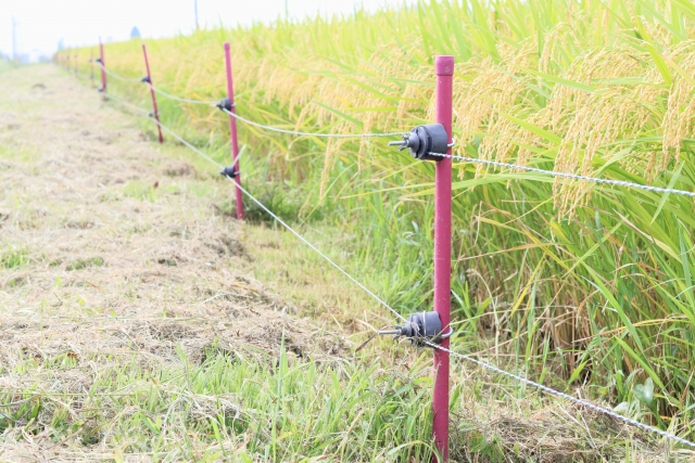 害獣対策でおなじみ、電気柵の仕組みと電気柵の効果的な設置方法について｜画像２