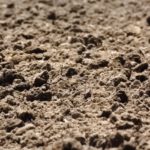 土壌改良剤として注目が集まる「フルボ酸」って何？土壌中におけるフルボ酸の位置付け