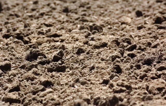 土壌改良剤として注目が集まる「フルボ酸」って何？土壌中におけるフルボ酸の位置付け｜画像１